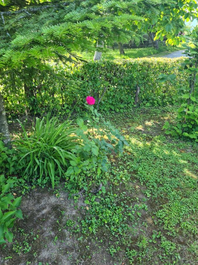 Gornja Stubica Holiday Home Hizica V Plavem Trnacu מראה חיצוני תמונה