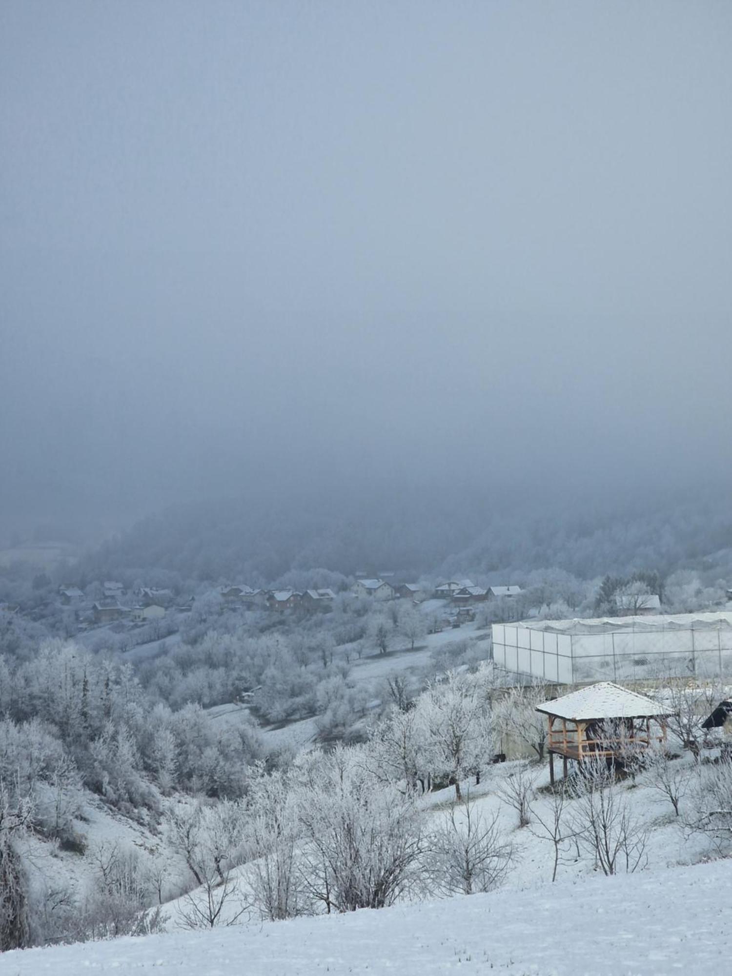 Gornja Stubica Holiday Home Hizica V Plavem Trnacu מראה חיצוני תמונה