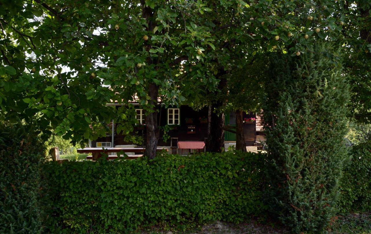 Gornja Stubica Holiday Home Hizica V Plavem Trnacu מראה חיצוני תמונה