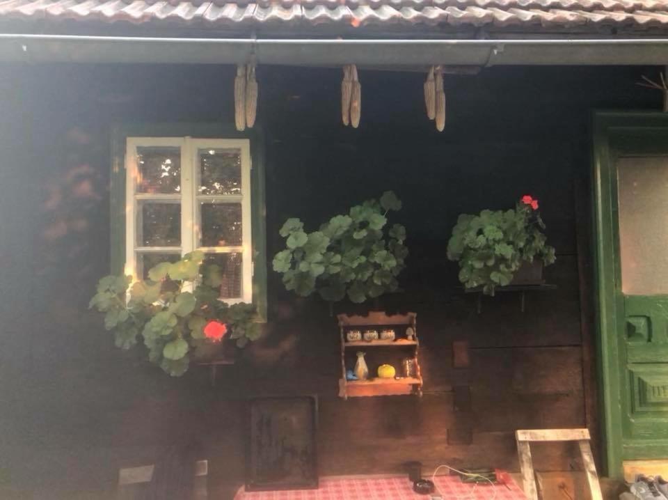 Gornja Stubica Holiday Home Hizica V Plavem Trnacu מראה חיצוני תמונה